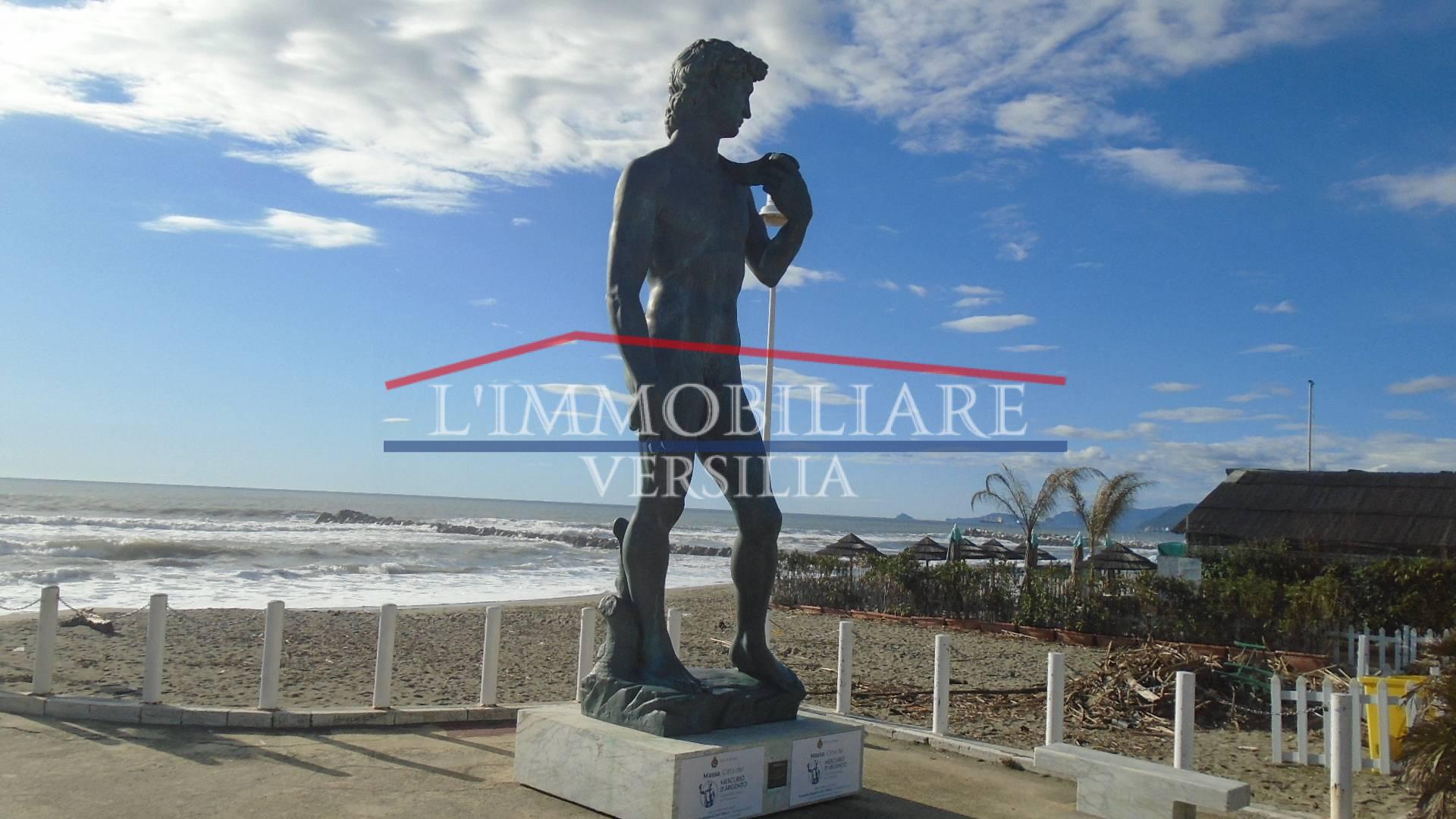 Immagine 20 di Appartamento in vendita  a Massa