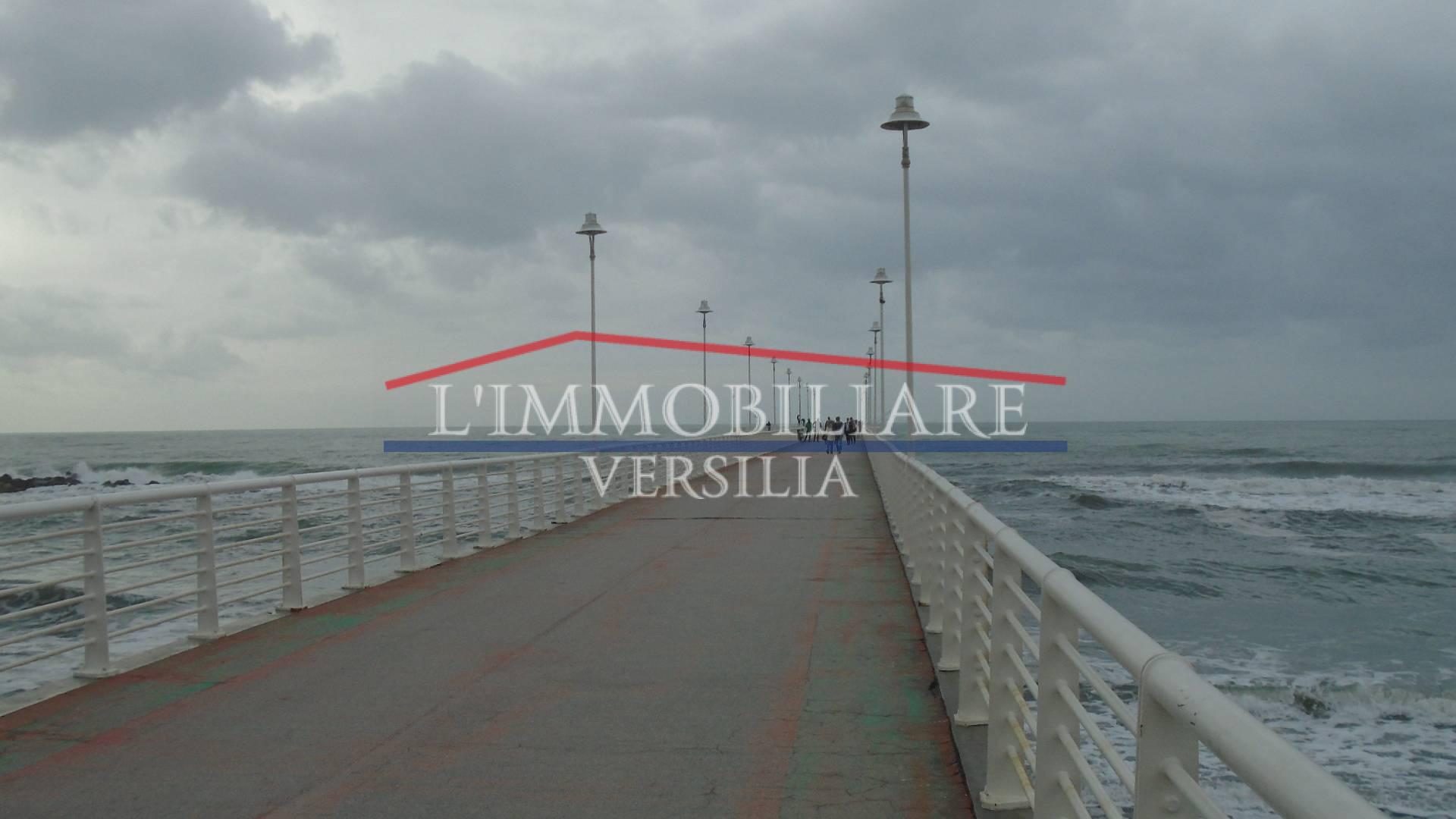 Immagine 22 di Appartamento in vendita  a Massa