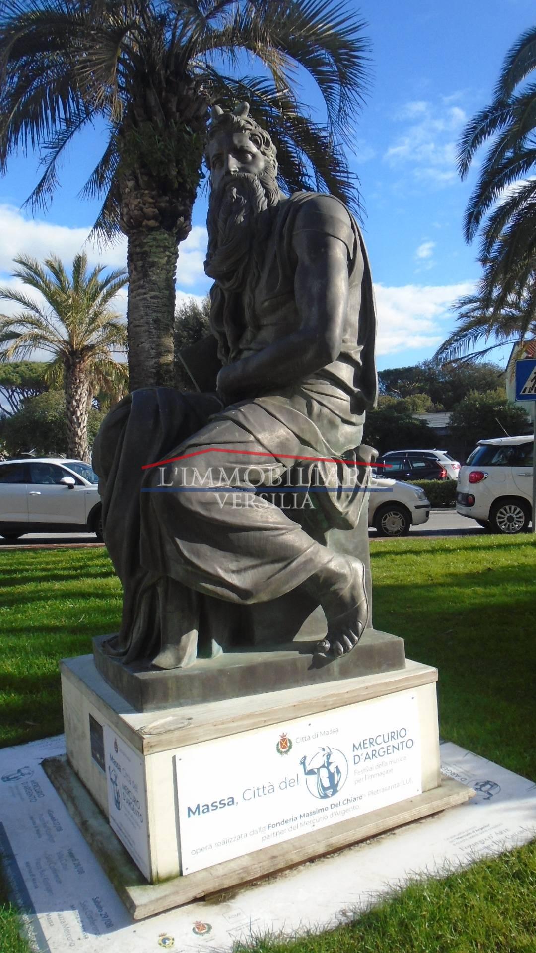 Immagine 31 di Appartamento in vendita  a Massa