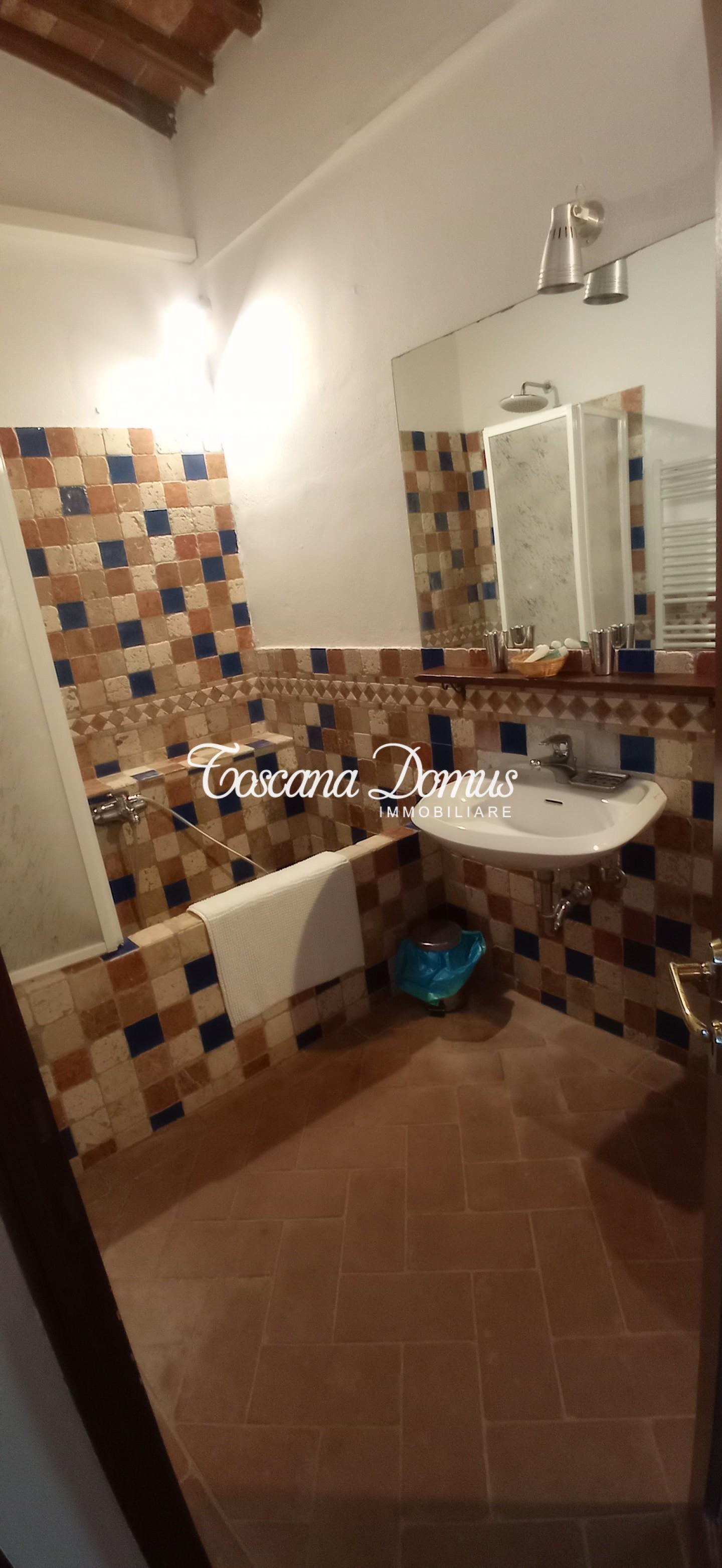 Immagine 19 di Casa colonica in vendita  a Castellina In Chianti