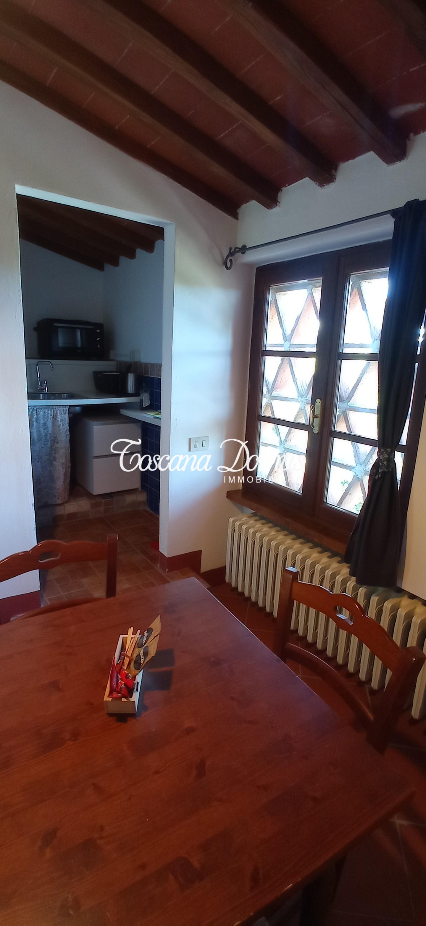 Immagine 9 di Casa colonica in vendita  a Castellina In Chianti