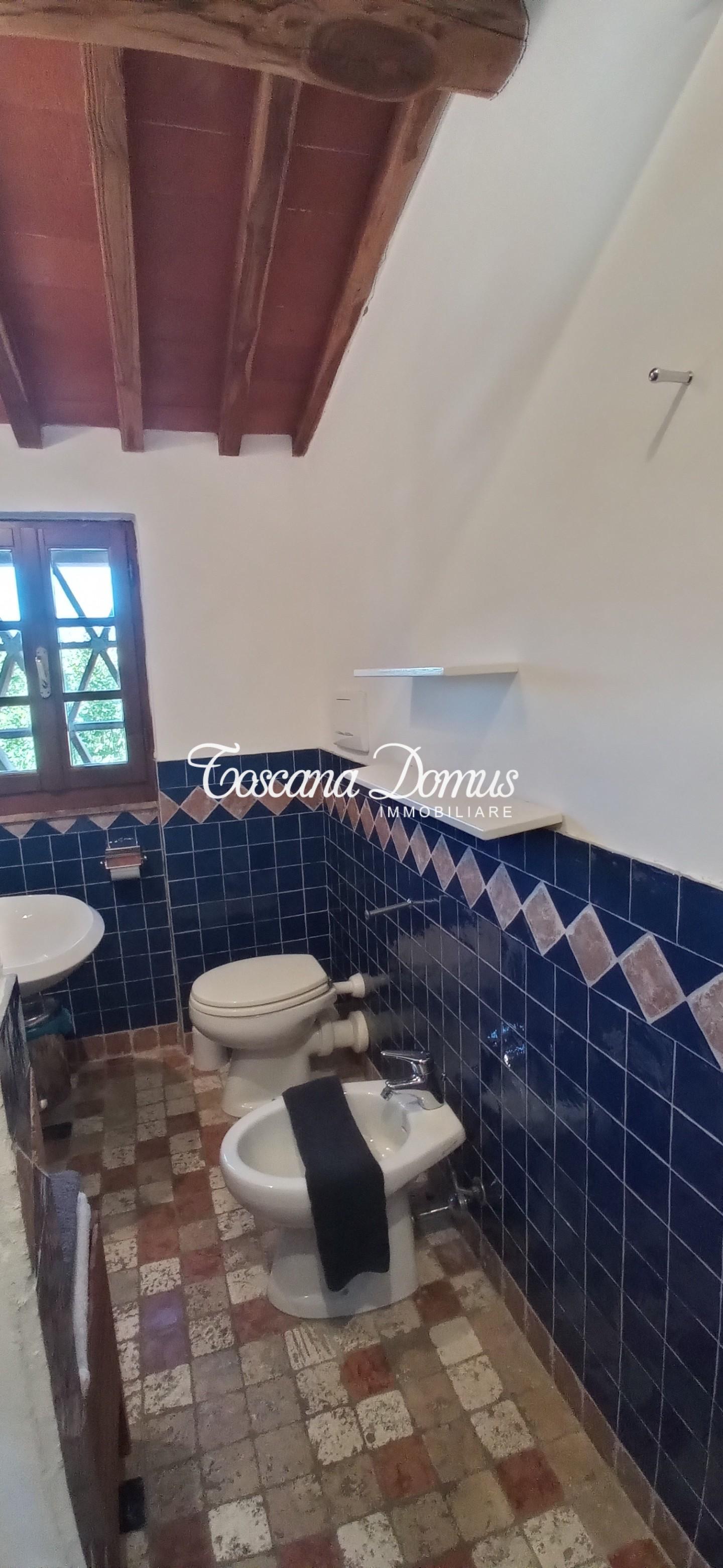 Immagine 32 di Casa colonica in vendita  a Castellina In Chianti