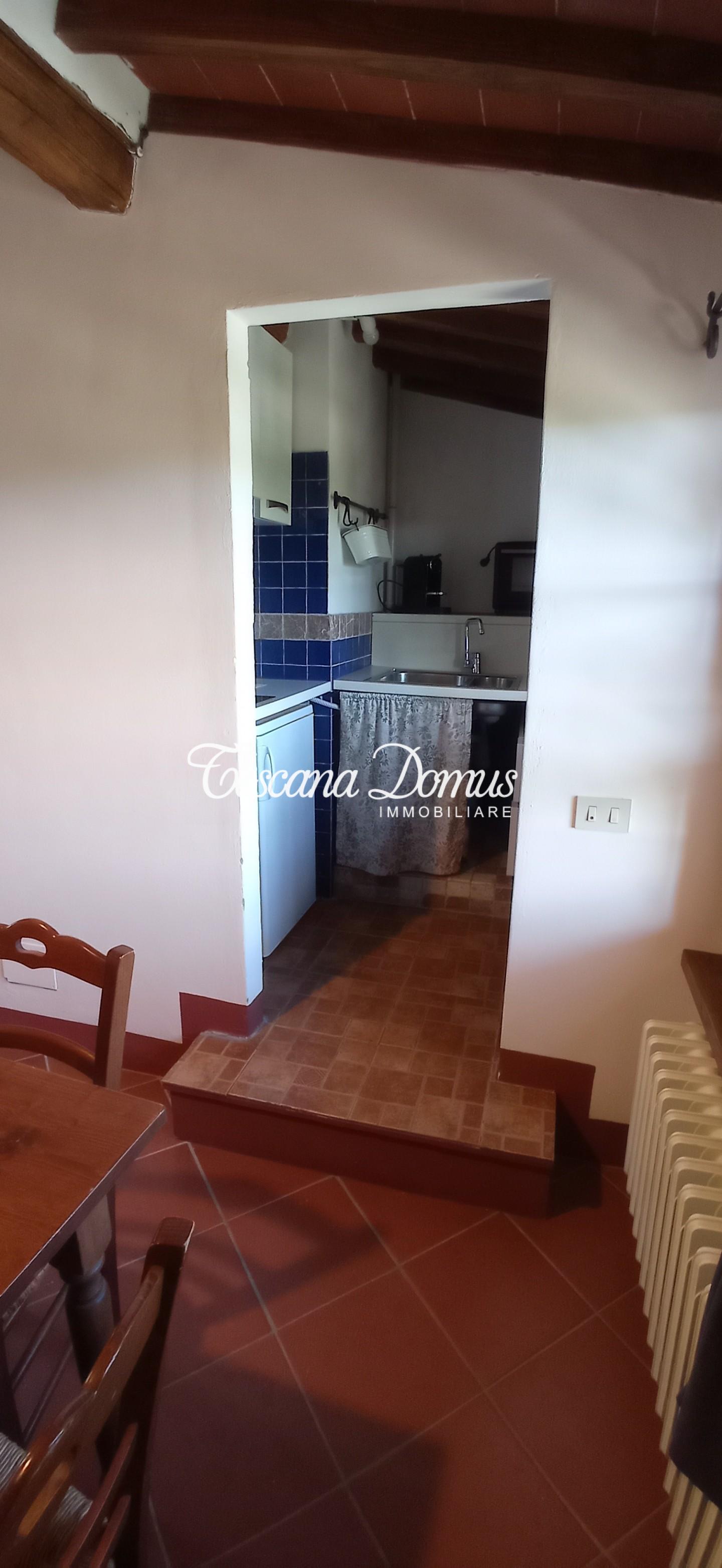 Immagine 8 di Casa colonica in vendita  a Castellina In Chianti