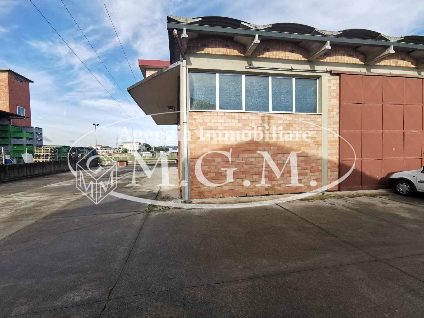 Immagine 2 di Capannone industriale in vendita  a Castelfranco Di Sotto