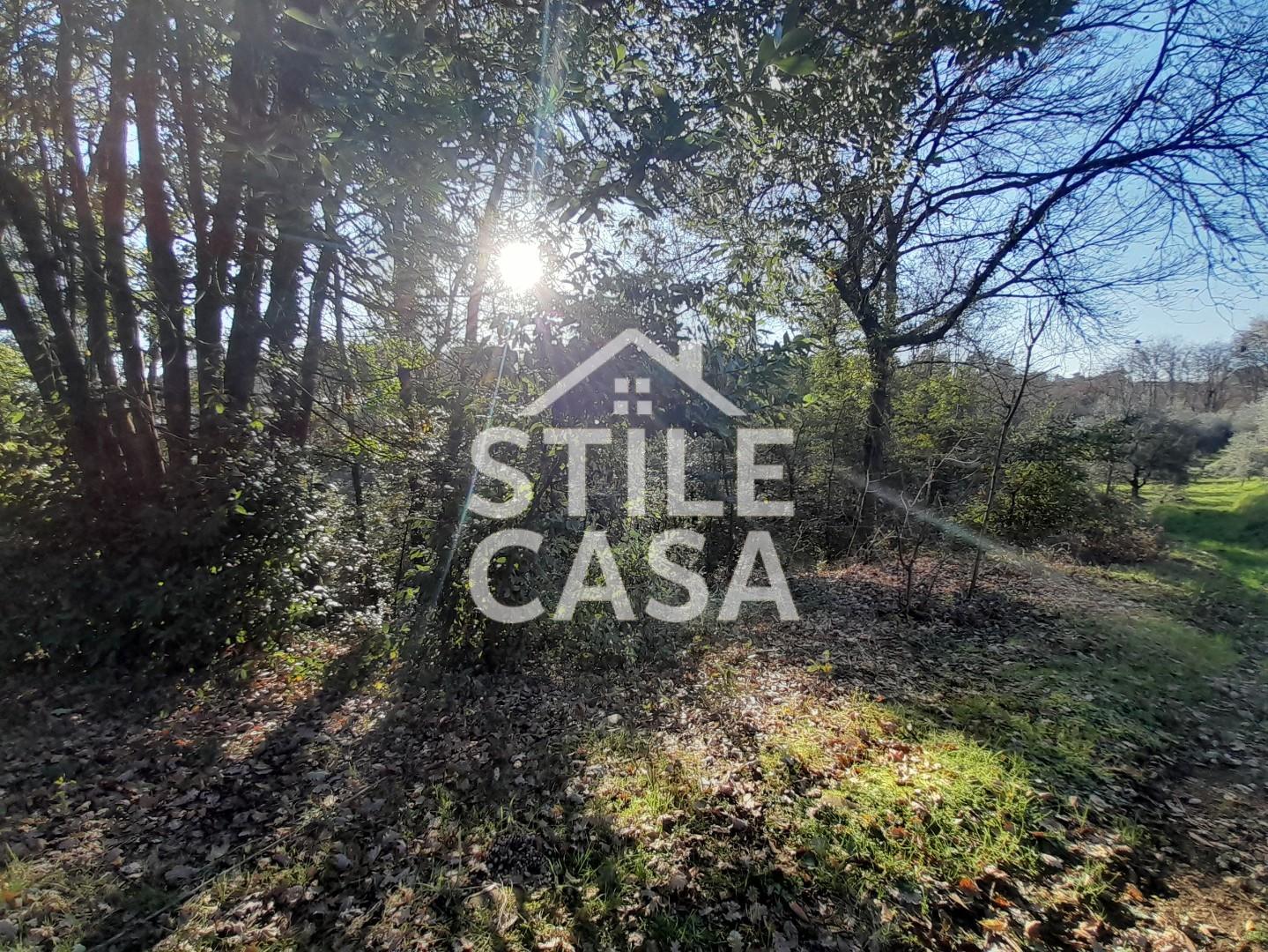 Immagine 11 di Terreno agricolo in vendita  a Montecarlo