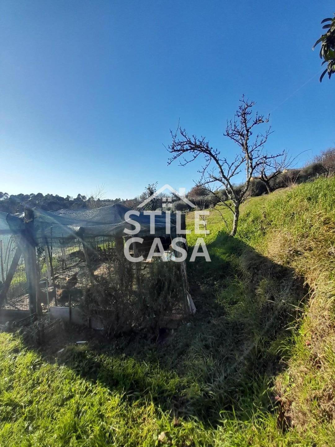 Immagine 4 di Terreno agricolo in vendita  a Montecarlo