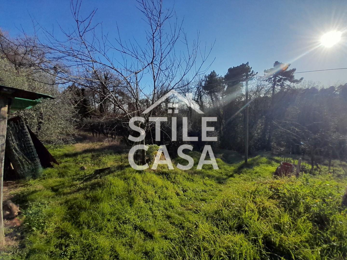 Immagine 3 di Terreno agricolo in vendita  a Montecarlo