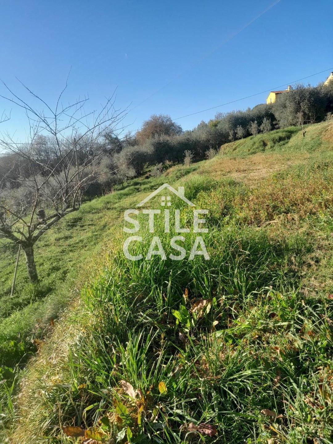 Immagine 19 di Terreno agricolo in vendita  a Montecarlo