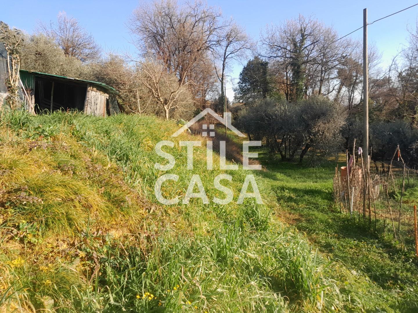 Immagine 18 di Terreno agricolo in vendita  a Montecarlo