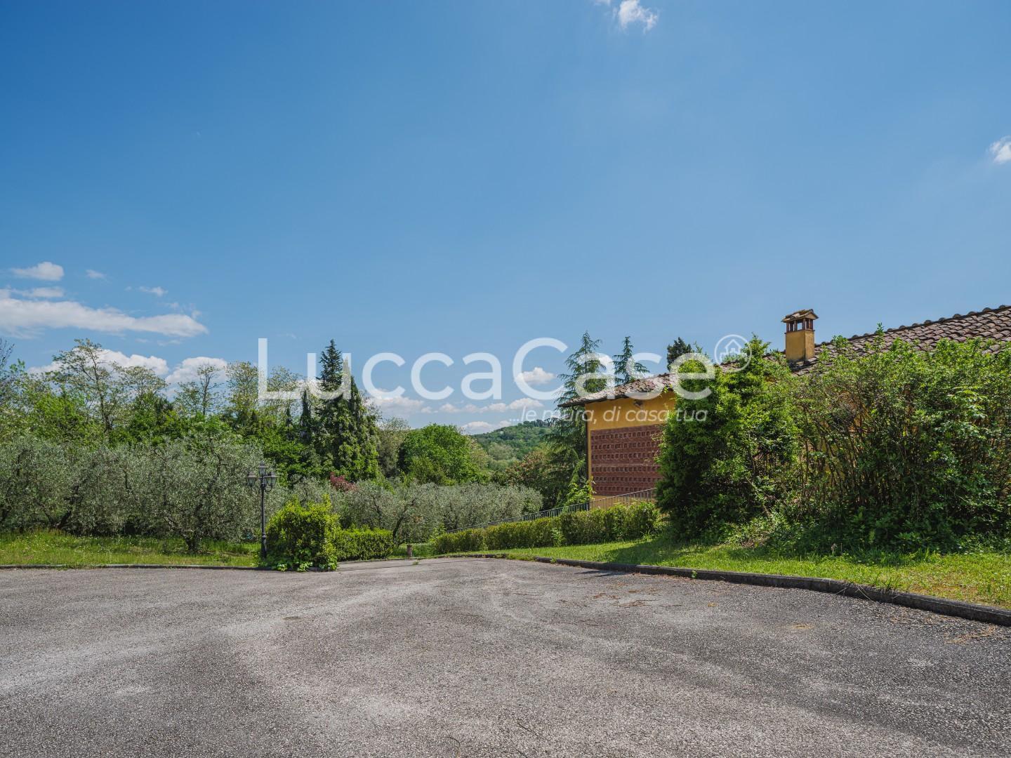 Immagine 52 di Casa colonica in vendita  a Capannori