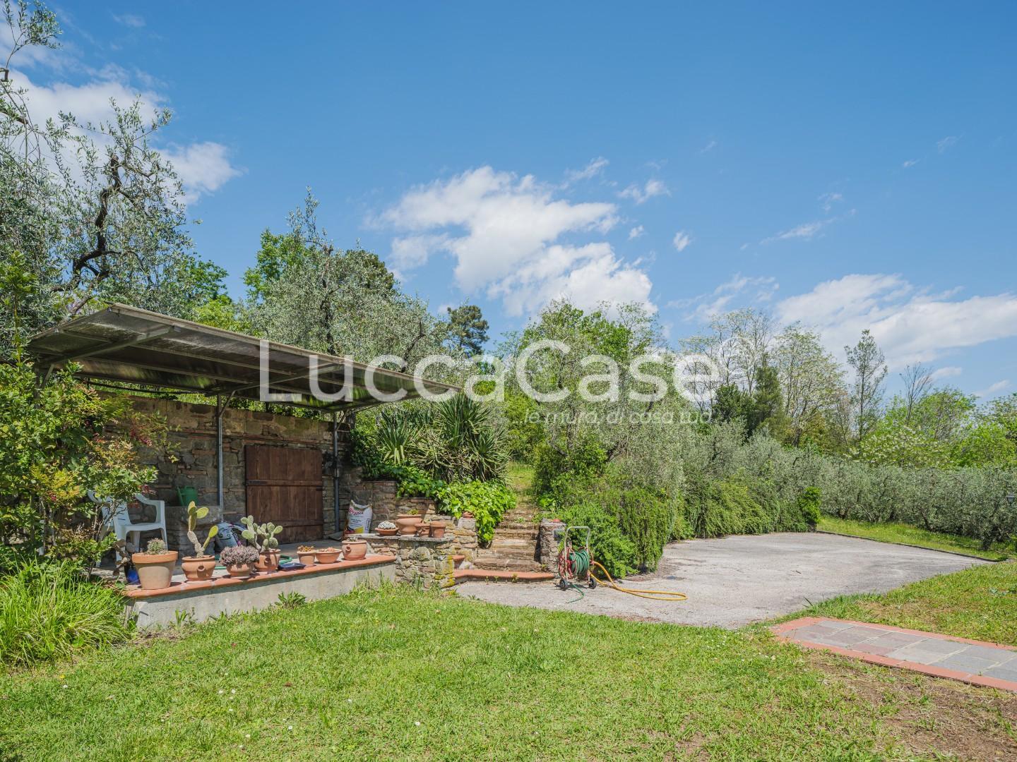 Immagine 53 di Casa colonica in vendita  a Capannori