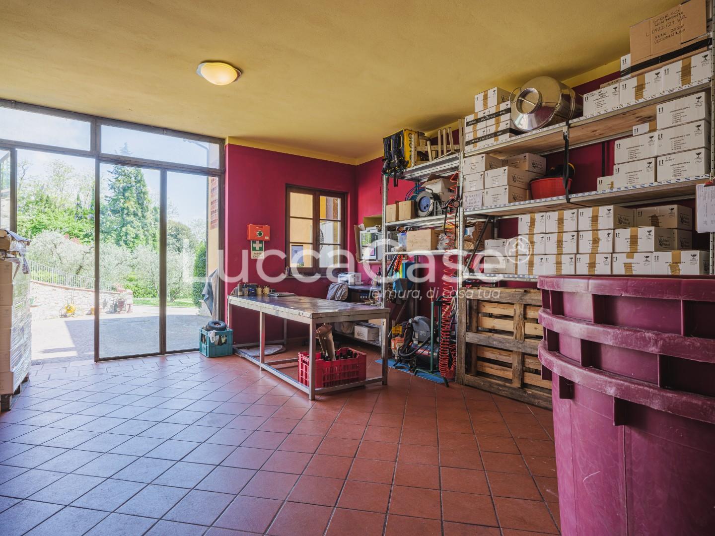 Immagine 39 di Casa colonica in vendita  a Capannori