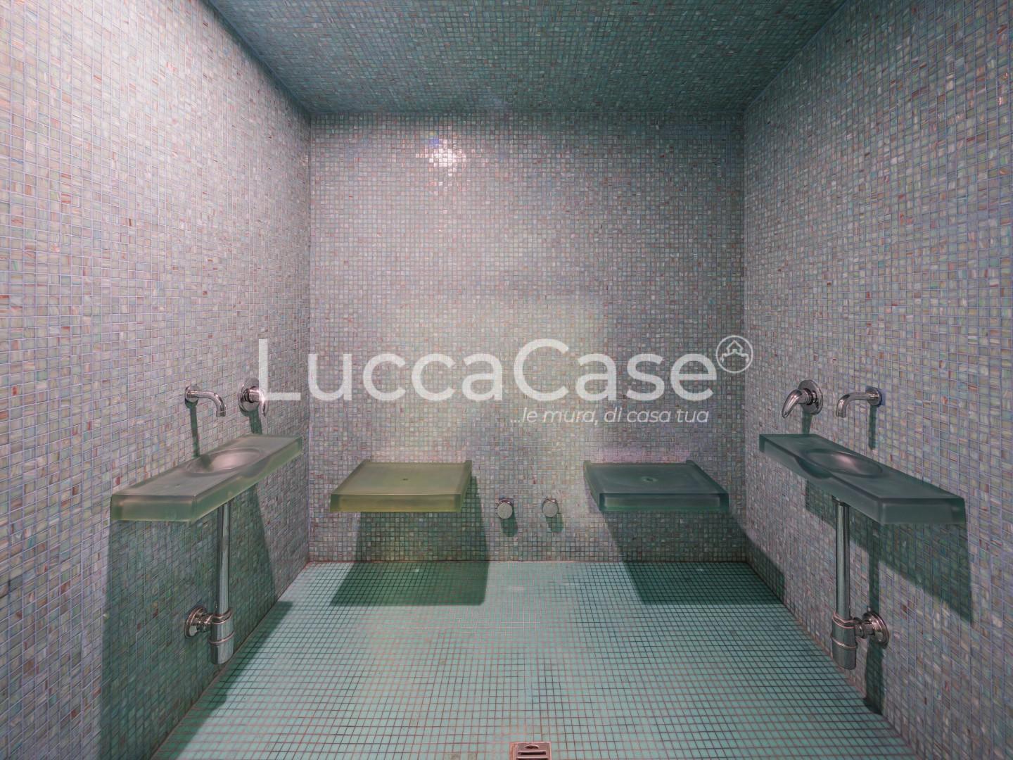 Immagine 37 di Casa colonica in vendita  a Capannori