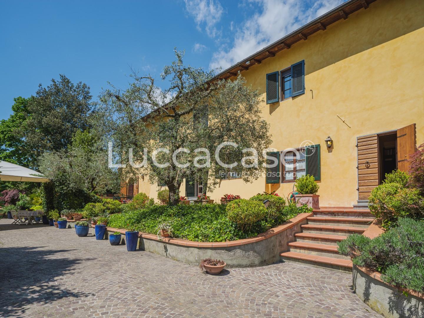 Immagine 2 di Casa colonica in vendita  a Capannori