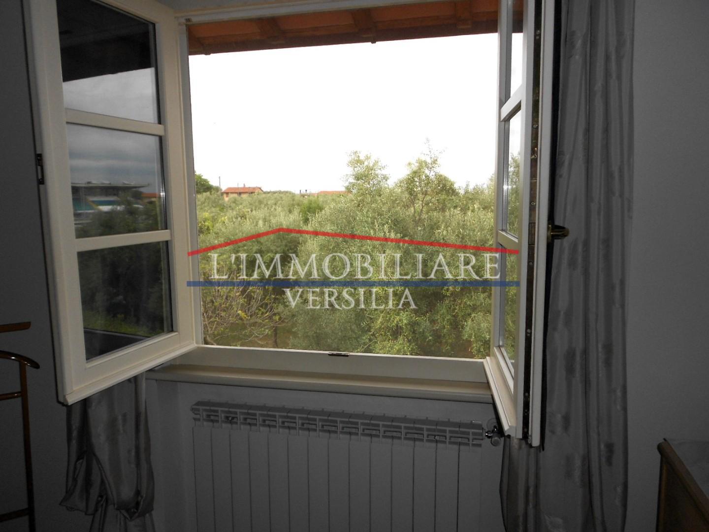 Immagine 56 di Villa in vendita  a Seravezza