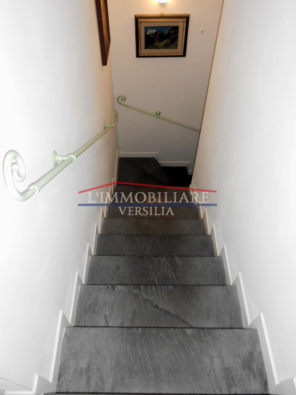 Immagine 42 di Villa in vendita  a Seravezza