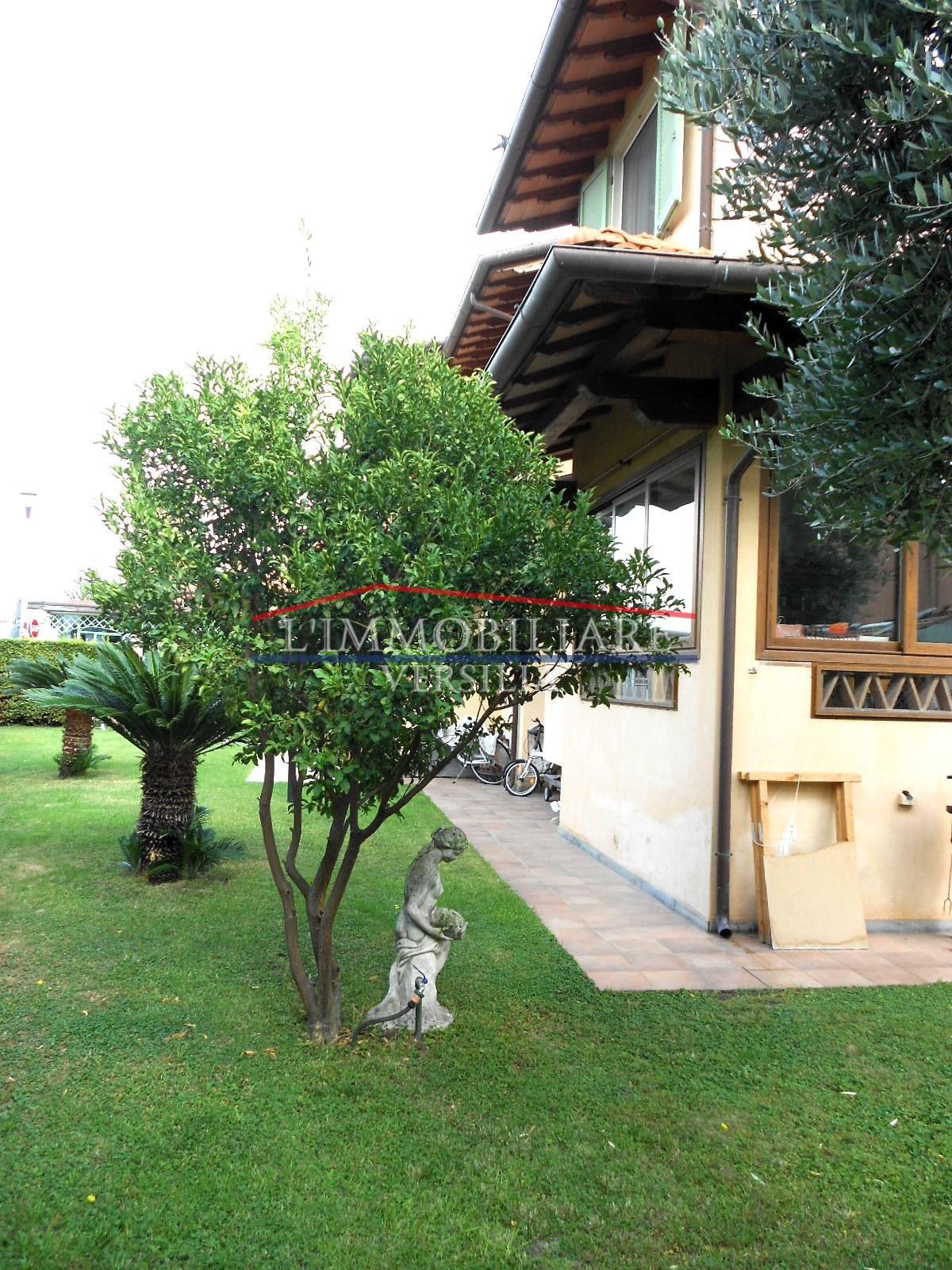 Immagine 7 di Villa in vendita  a Seravezza