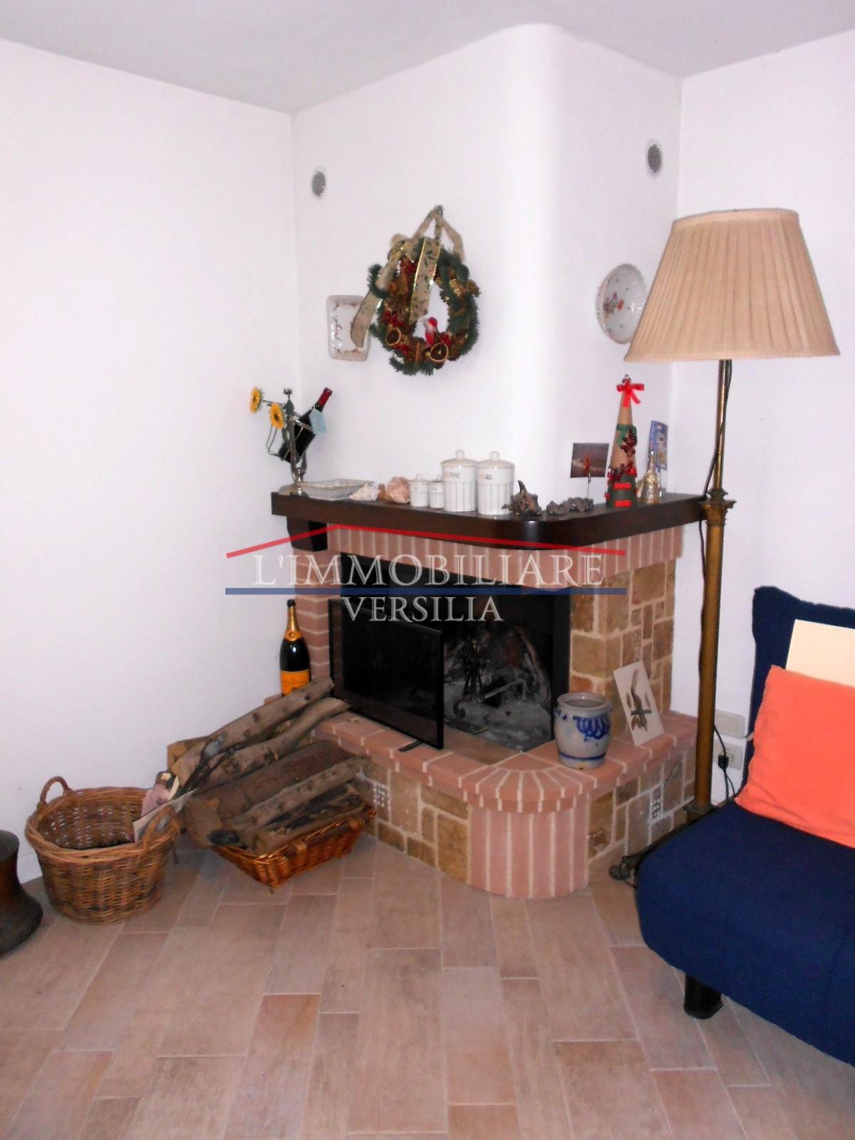 Immagine 45 di Villa in vendita  a Seravezza