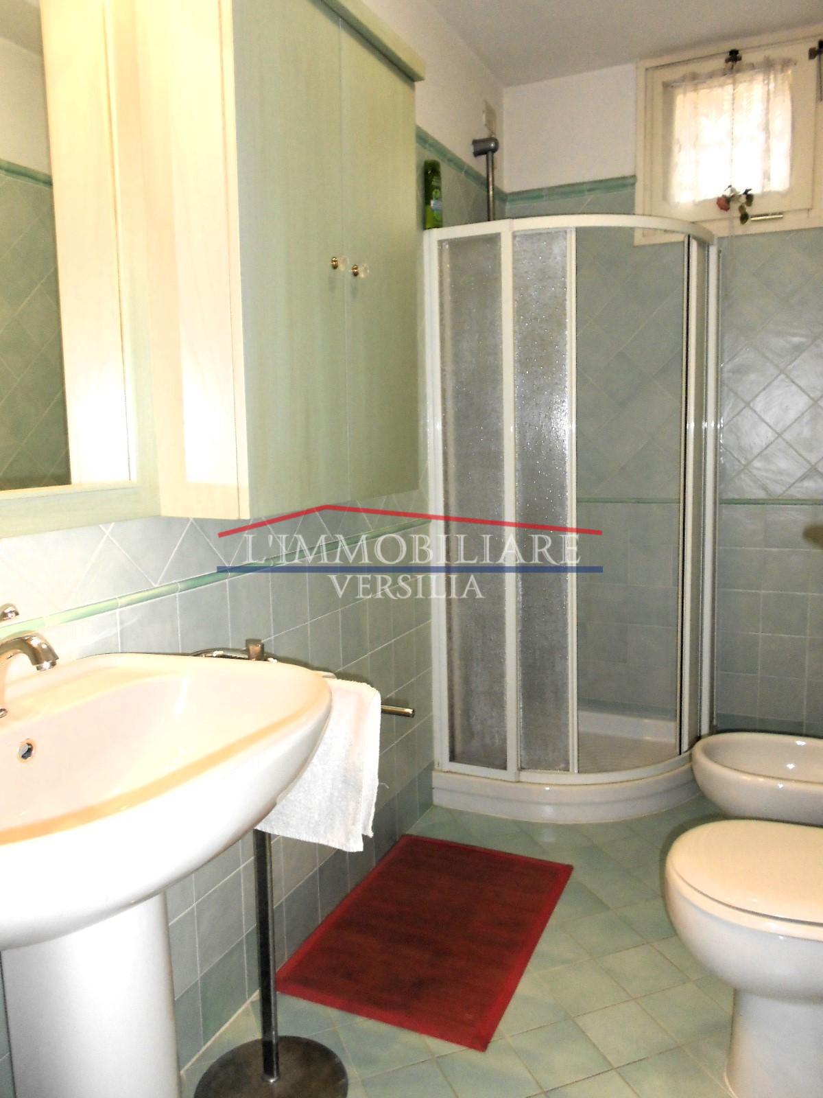 Immagine 46 di Villa in vendita  a Seravezza