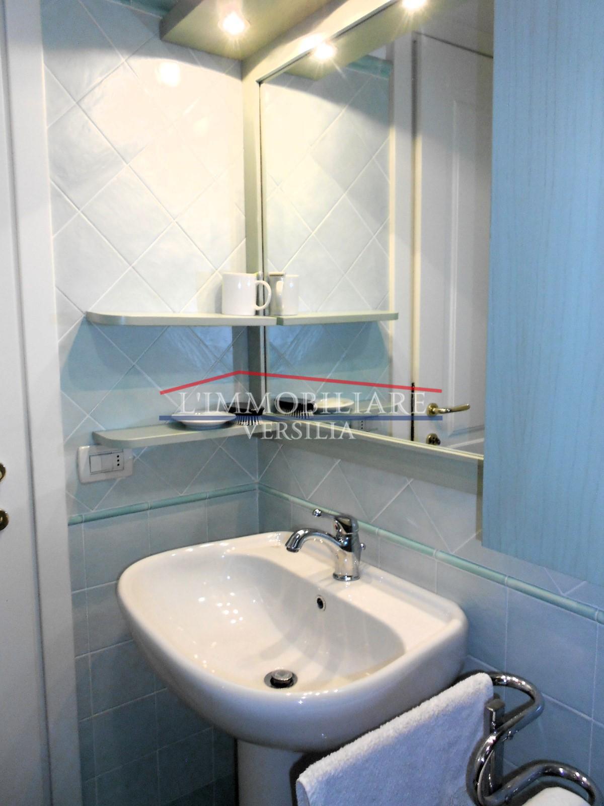 Immagine 39 di Villa in vendita  a Seravezza