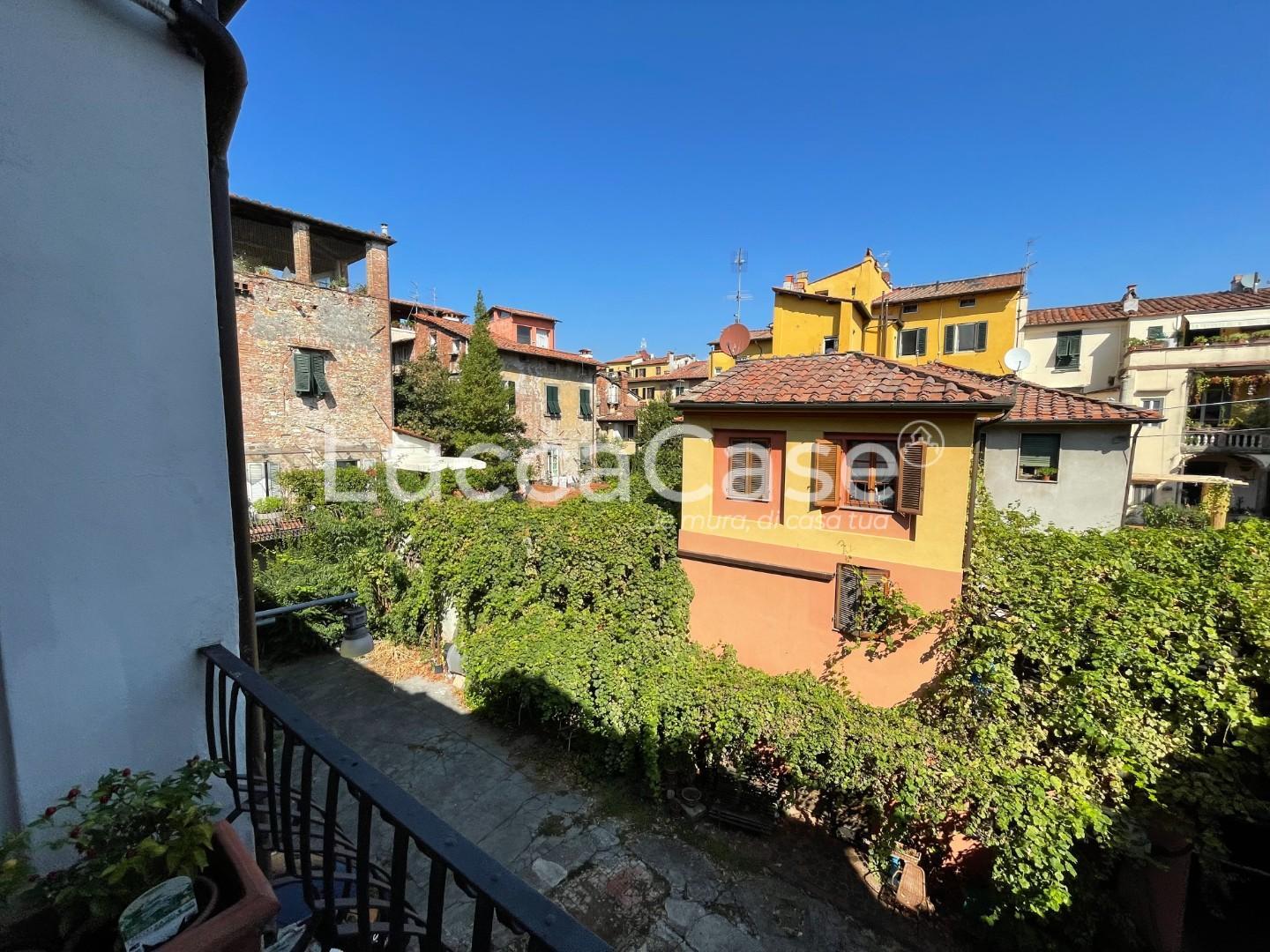 Immagine 6 di Attività commerciale in vendita  a Lucca