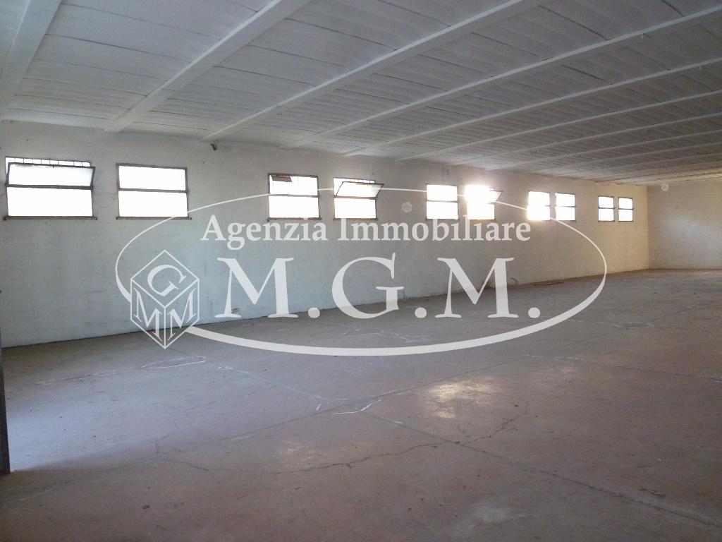 Immagine 7 di Capannone industriale in affitto  a Pontedera