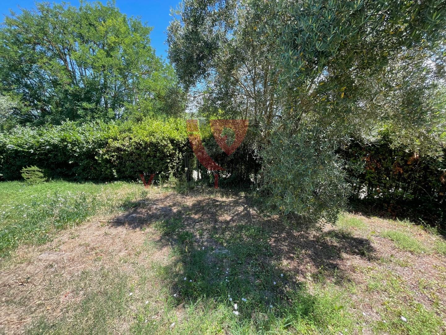 Immagine 27 di Appartamento in vendita  a Colle Di Val D'elsa