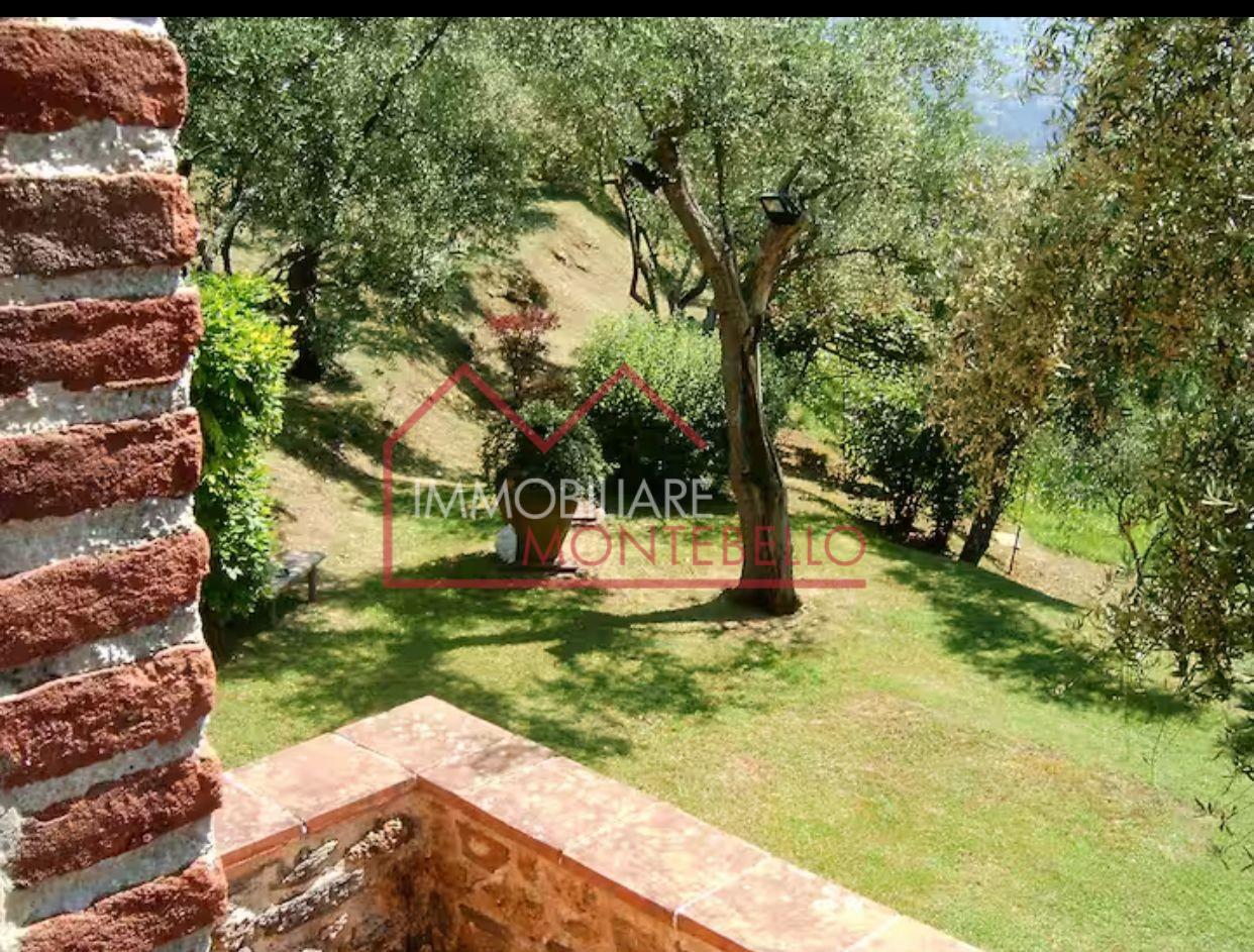 Foto annuncio 5