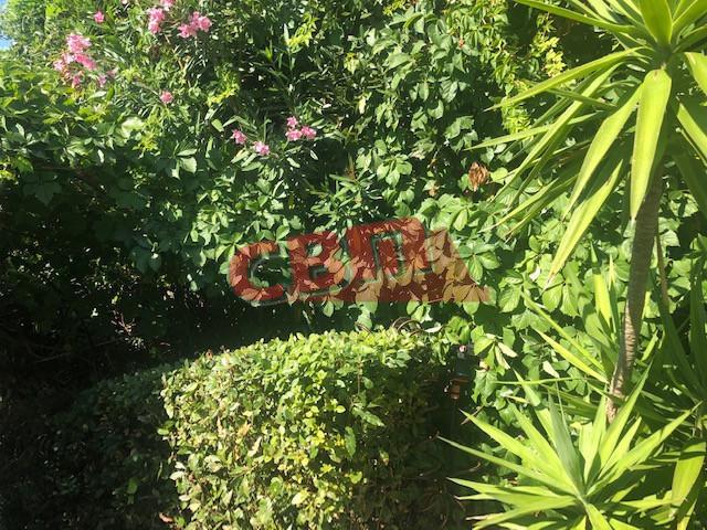 Immagine 34 di Terratetto in vendita  a Livorno