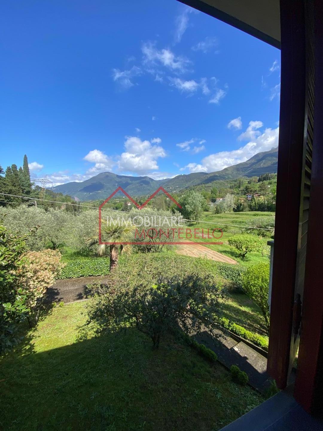 Foto annuncio 11