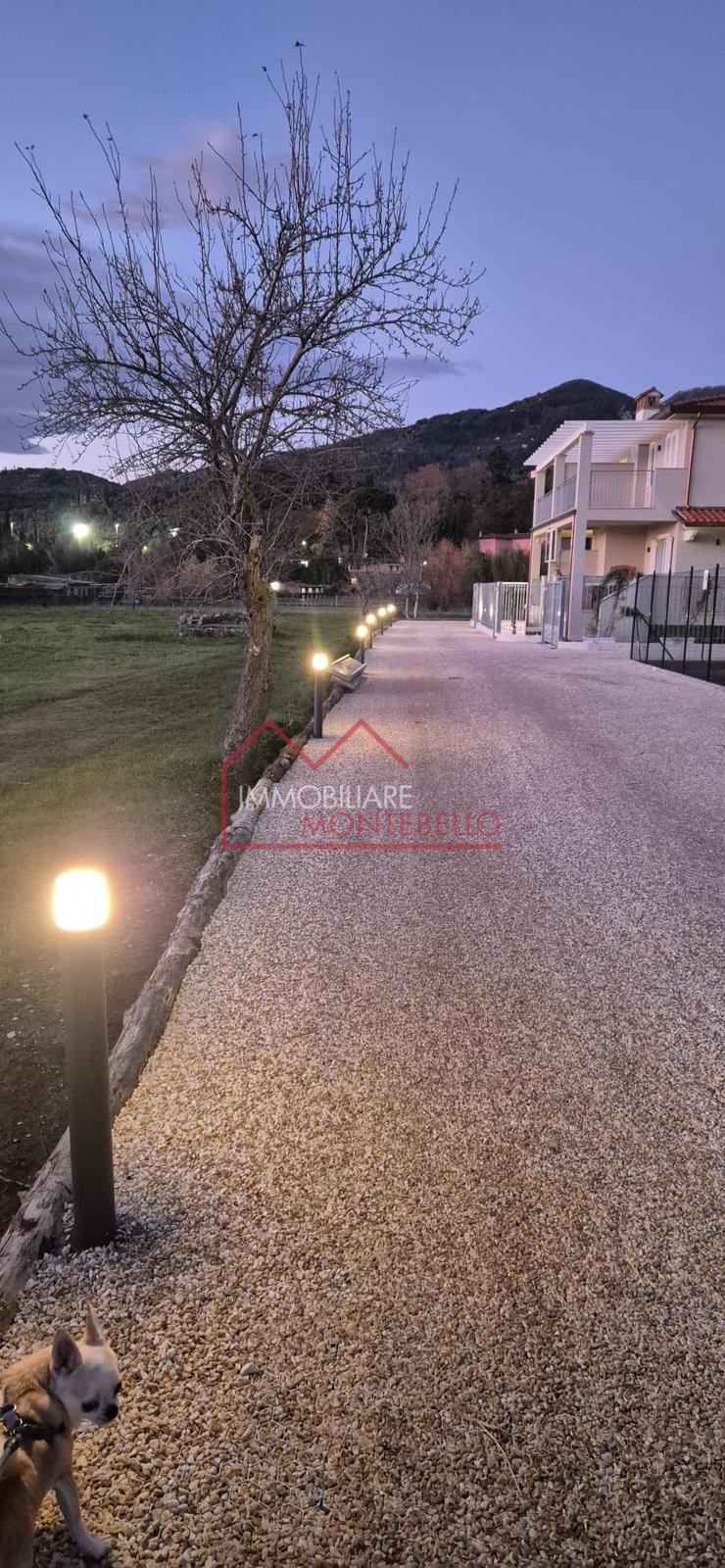 Foto annuncio 28