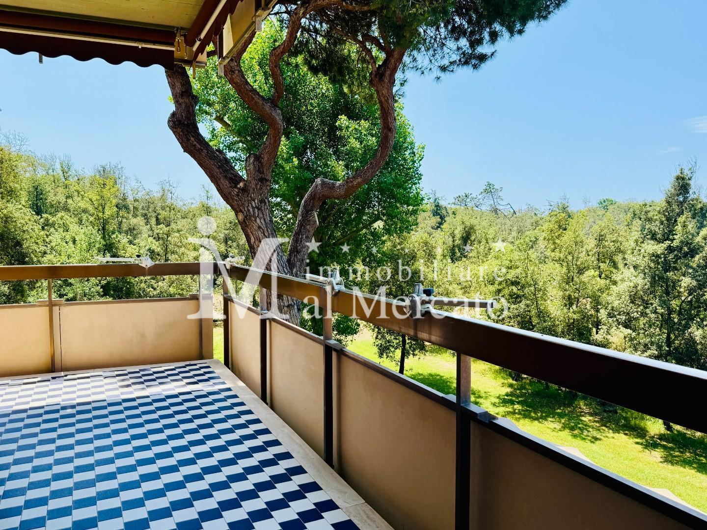 Immagine 1 di Appartamento in vendita  a Viareggio