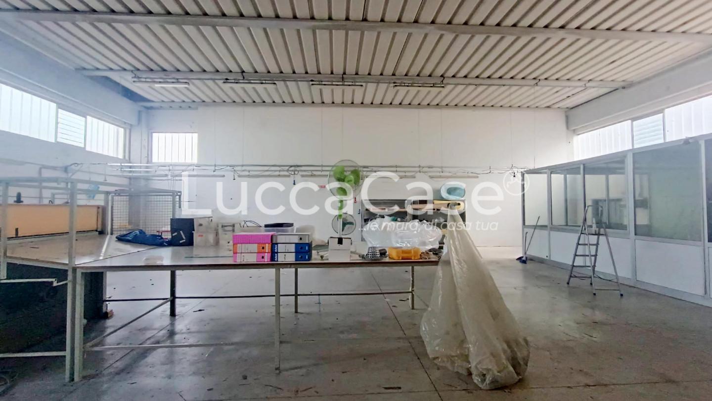 Immagine 5 di Attività artigianale in affitto  a Lucca