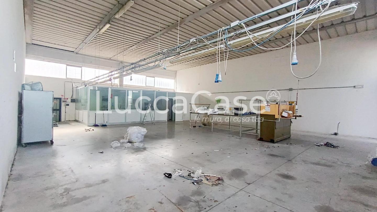 Immagine 3 di Attività artigianale in affitto  a Lucca