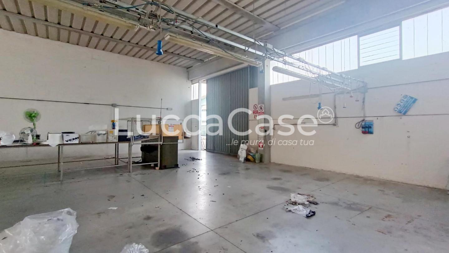 Immagine 1 di Attività artigianale in affitto  a Lucca