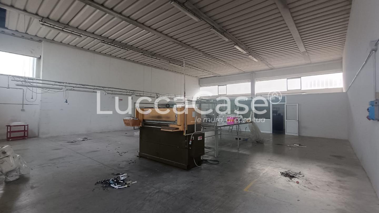 Immagine 4 di Attività artigianale in affitto  a Lucca