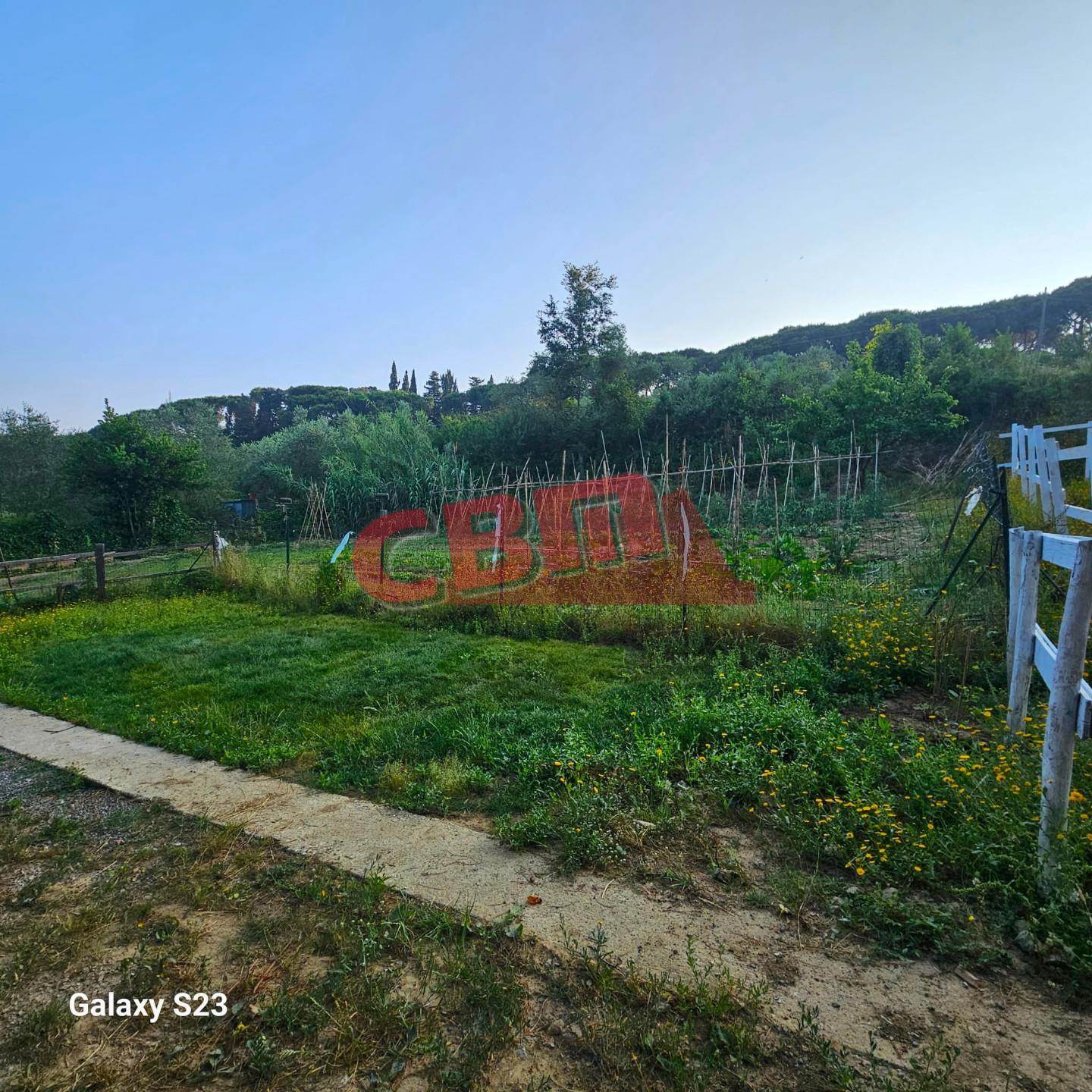Immagine 2 di Terreno agricolo in vendita  a Livorno