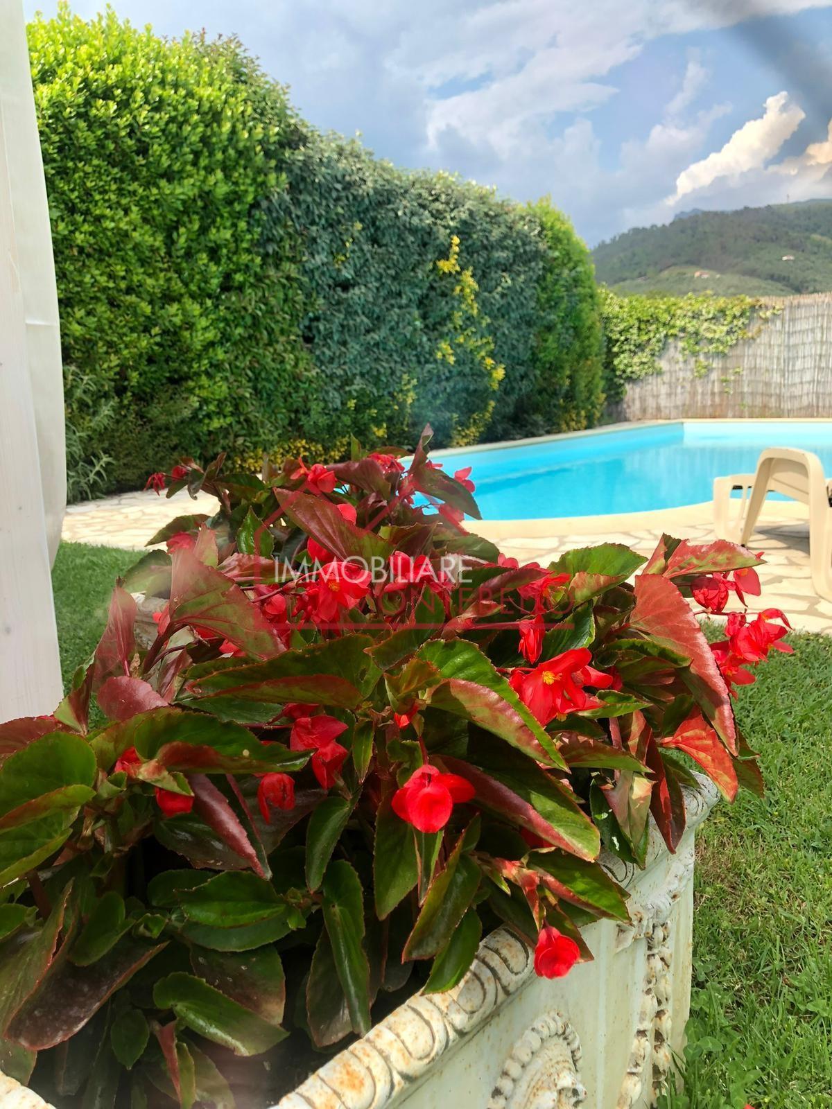 Foto annuncio 25