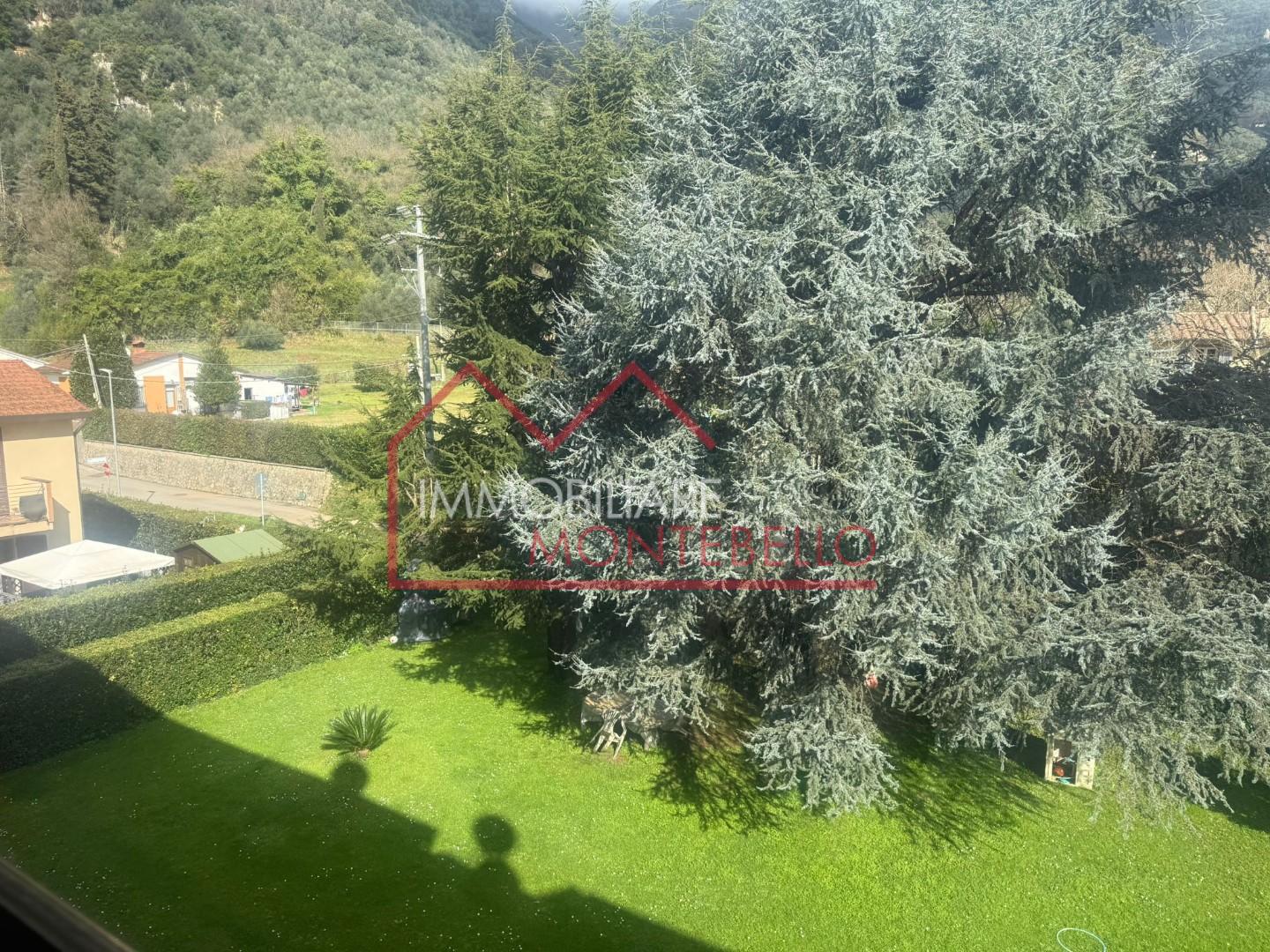Foto annuncio 37