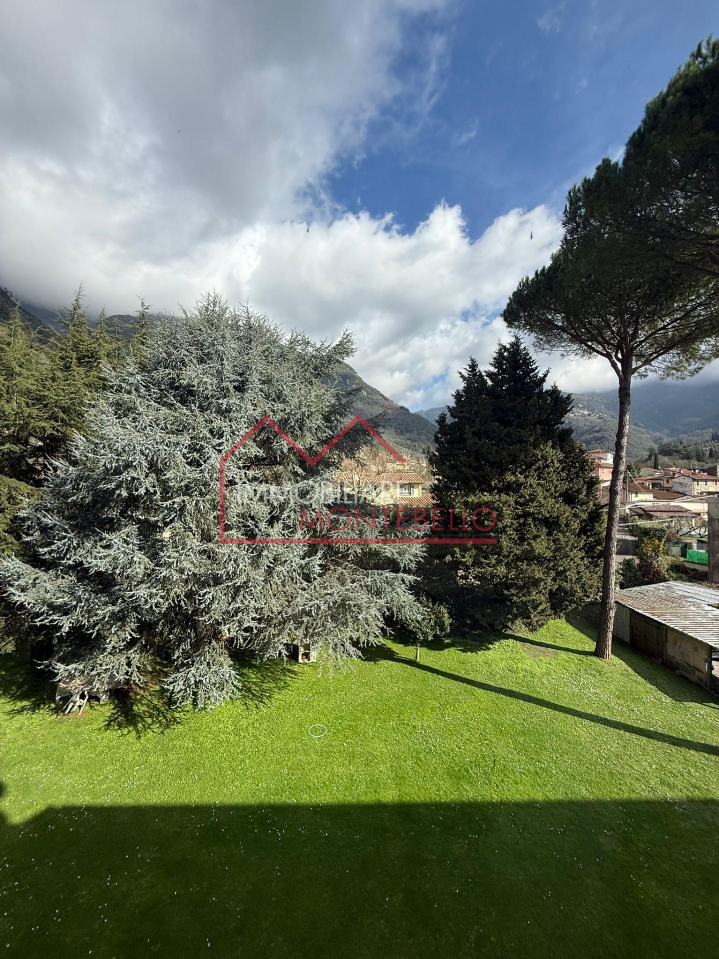 Foto annuncio 39
