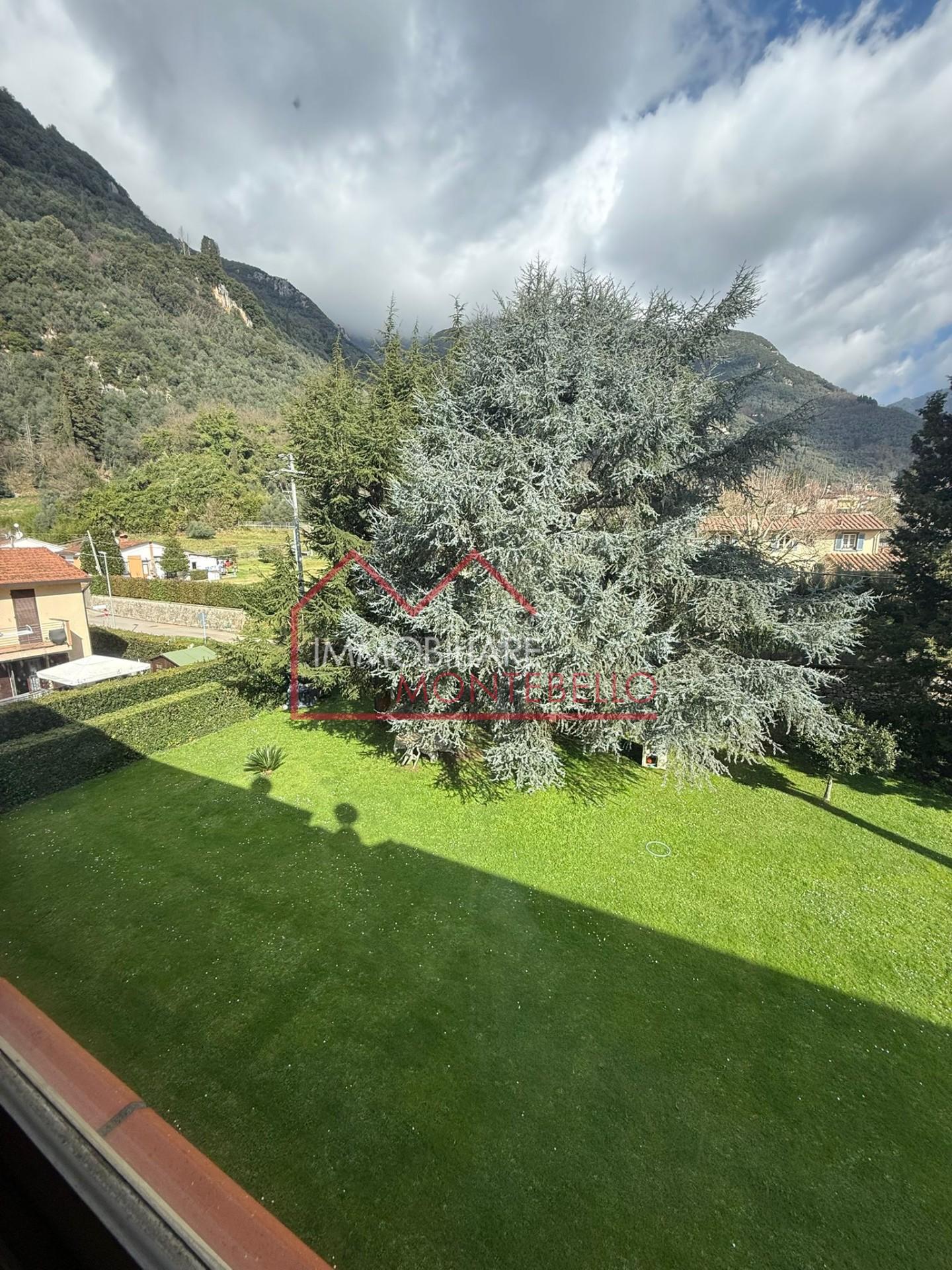 Foto annuncio 45