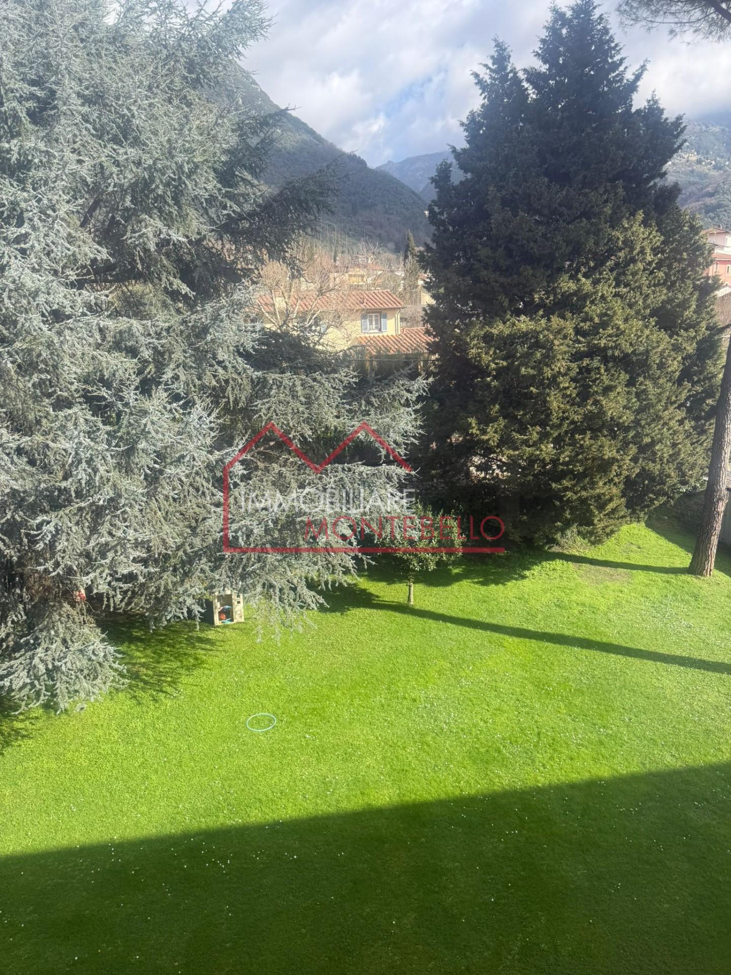 Foto annuncio 41