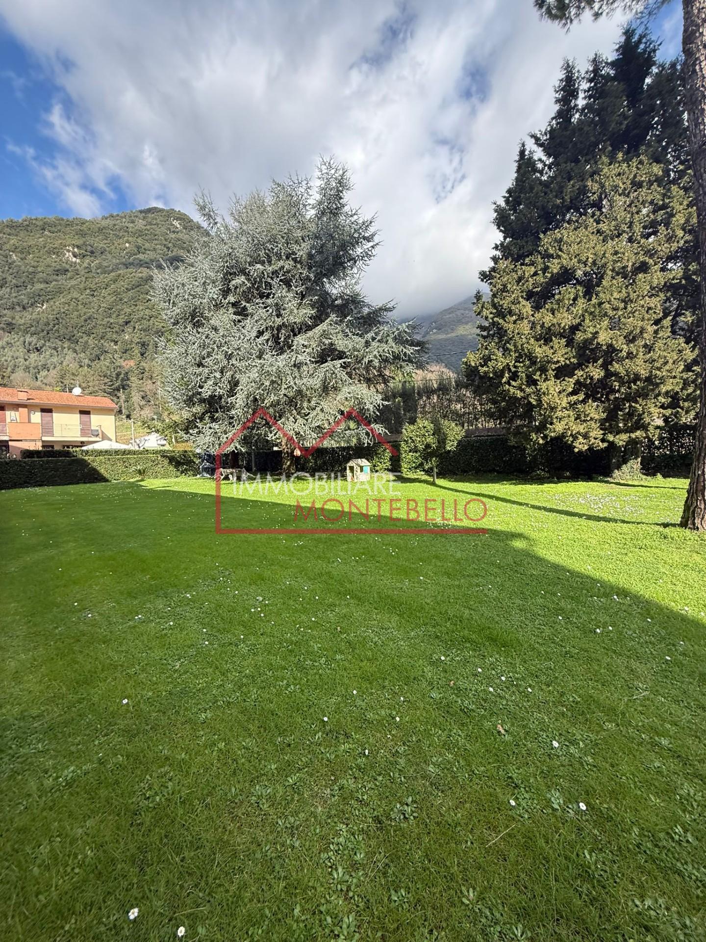 Foto annuncio 44