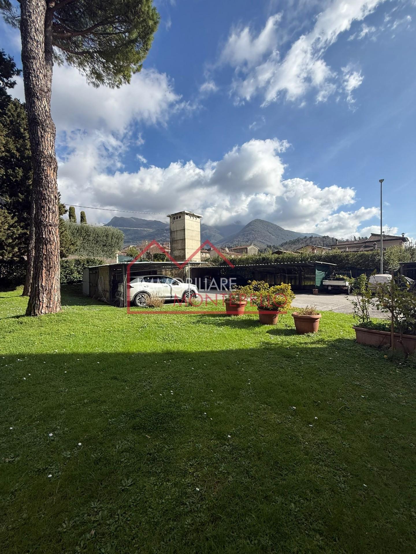 Foto annuncio 35