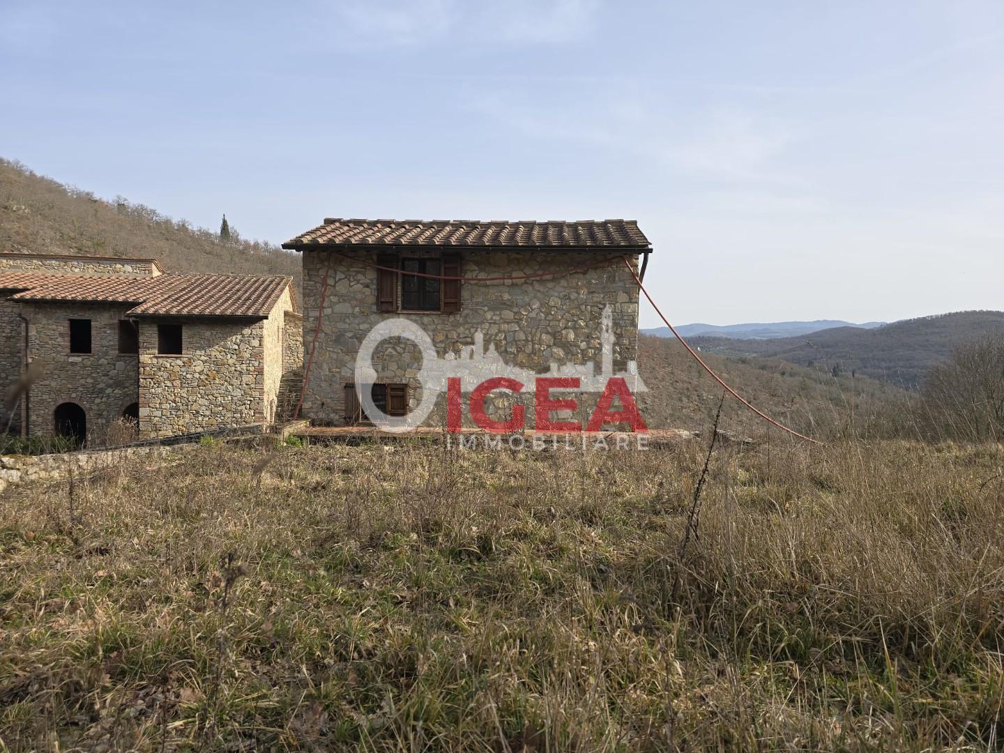 Foto annuncio 19
