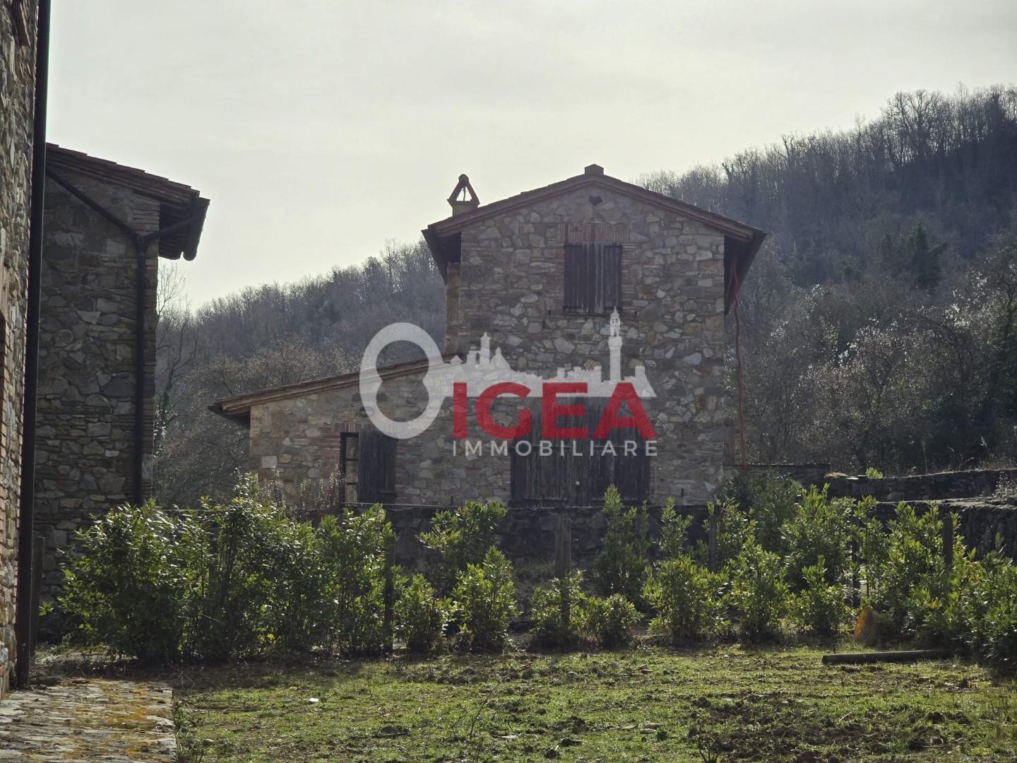 Foto annuncio 8