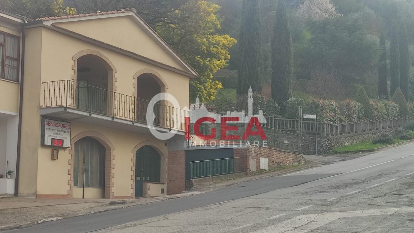 Foto annuncio 7