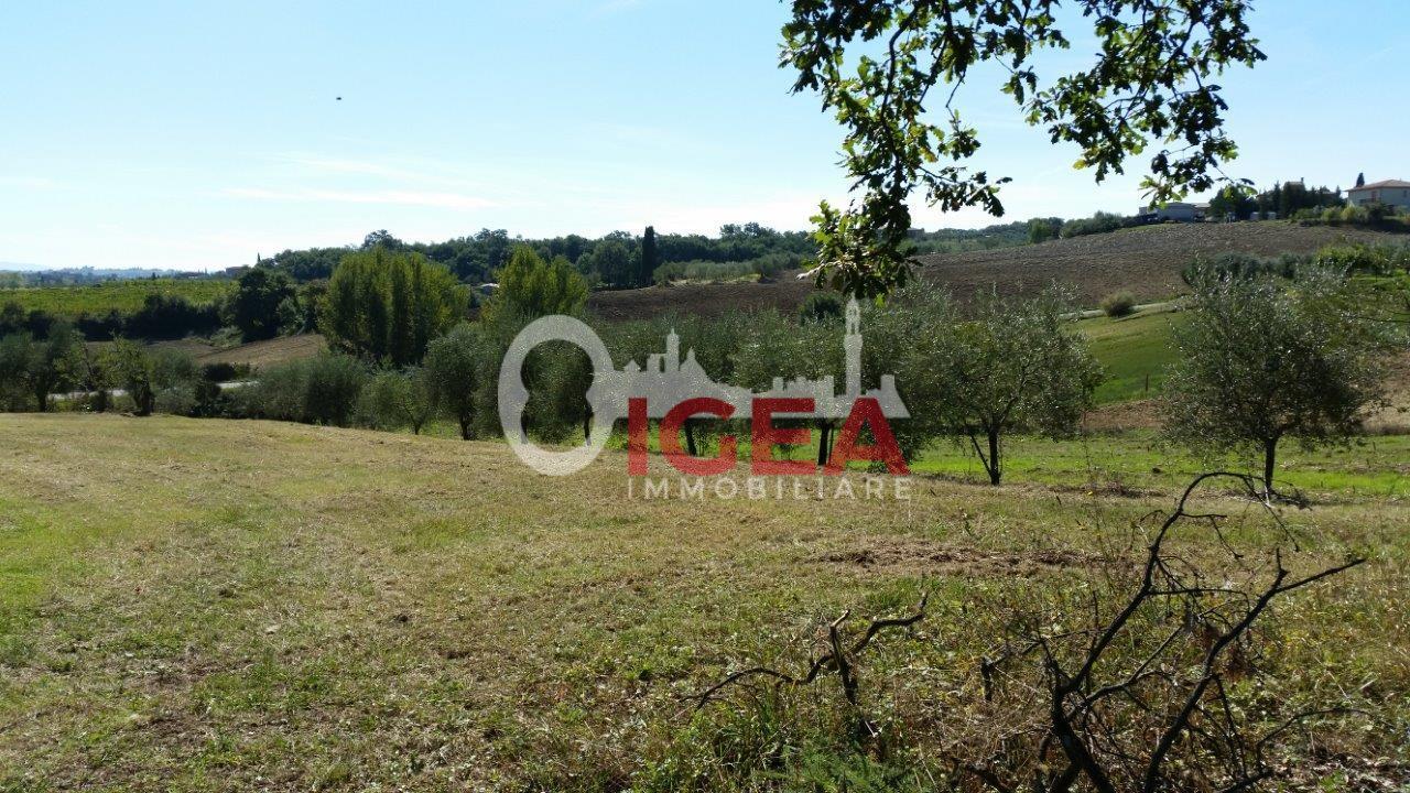 Foto annuncio 11