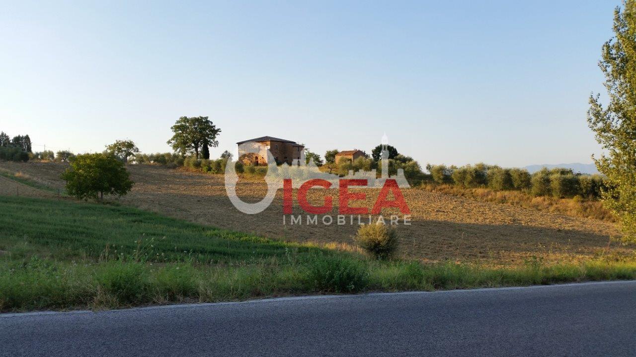Foto annuncio 16