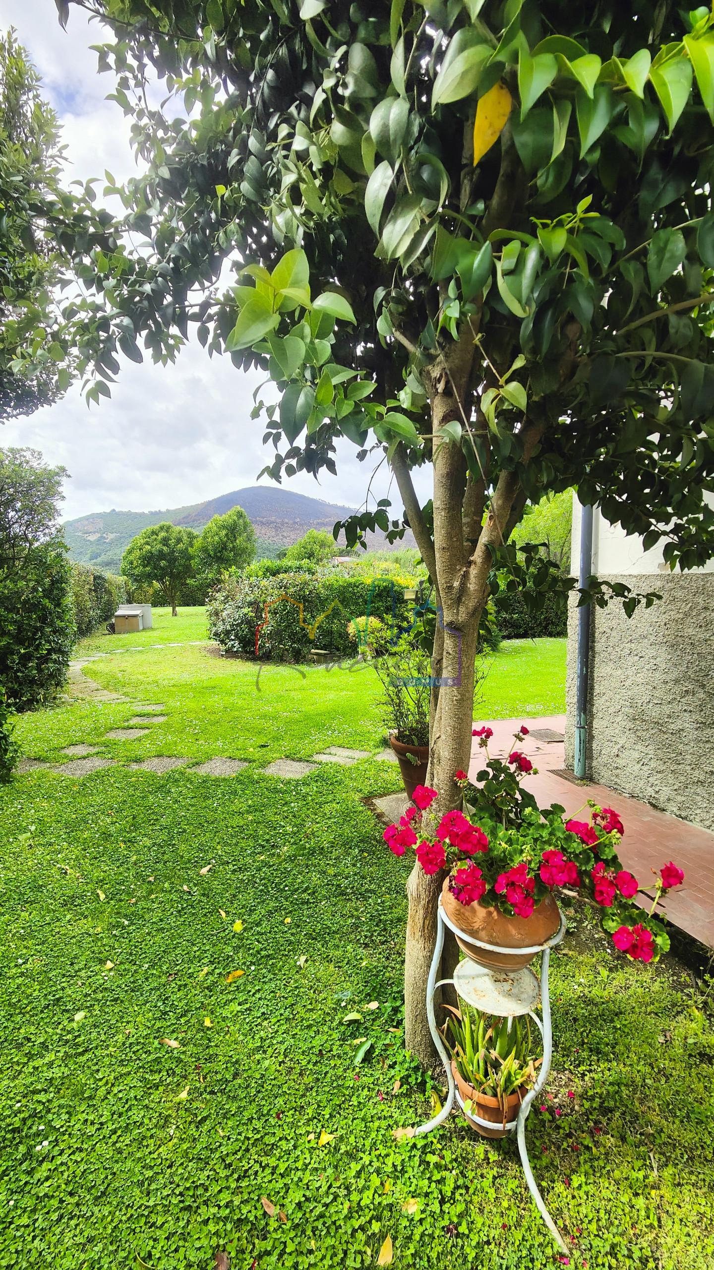 Foto annuncio 8